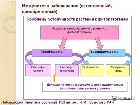 Влияние внешних факторов на зеницу