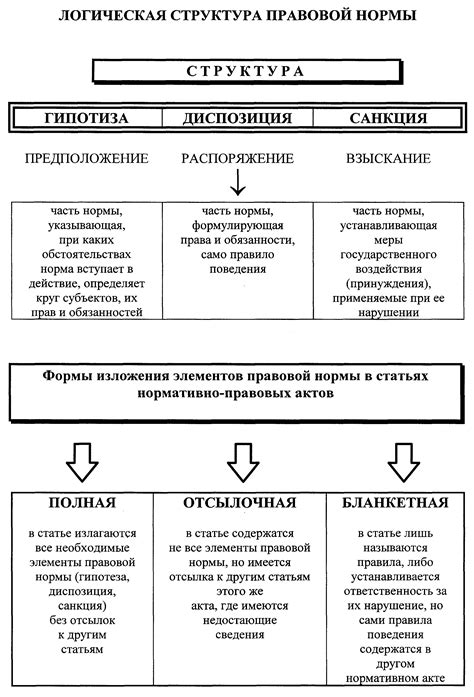 Структура зеницы