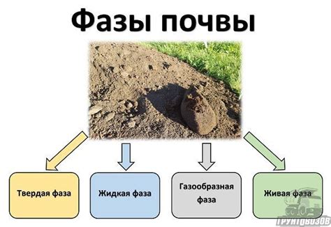 Что входит в состав листовой земли